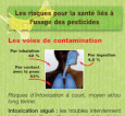 Fiche pesticides et santé