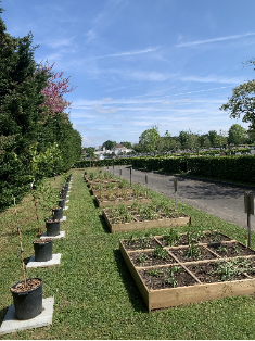 Pollinarium sentinelle du Mans